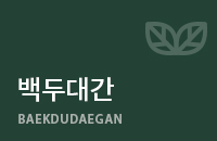 백두대간
